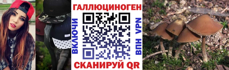 Галлюциногенные грибы мухоморы  купить  сайты  Белоусово 